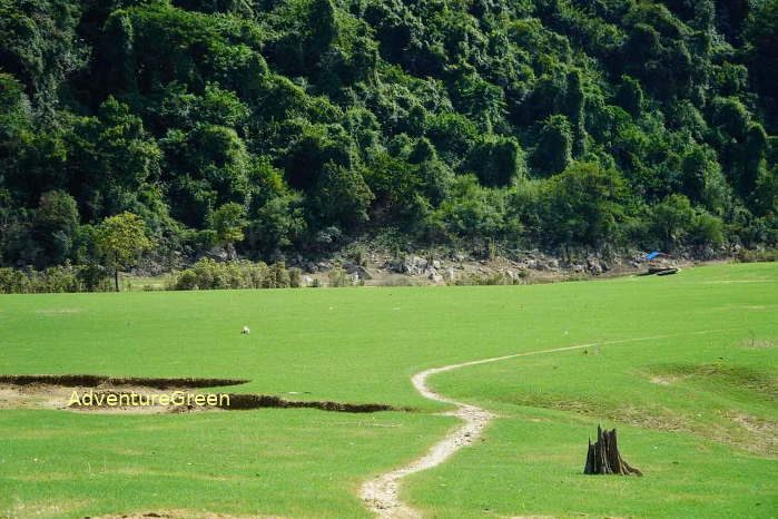 Dong Lam Pasture