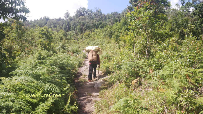 The first leg of the trekking tour to the Lao Than Mountain in Lao Cai Vietnam