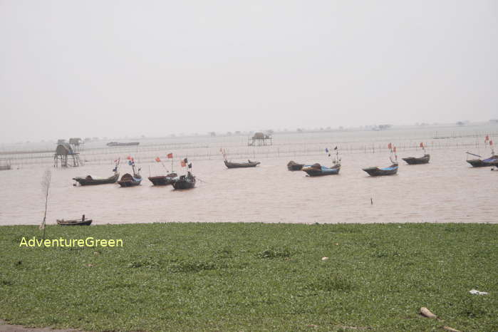 The sea at Xuan Thuy National Park in Nam Dinh Province