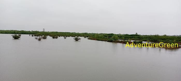 Guide to the Xuan Thuy National Park, Nam Dinh Province, Vietnam