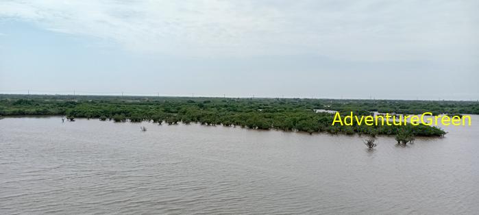 Guide to the Xuan Thuy National Park, Nam Dinh Province, Vietnam