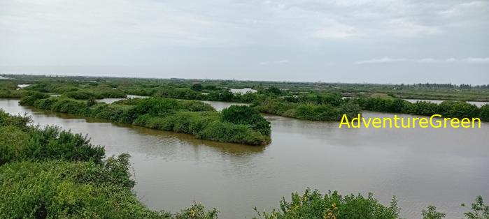 Guide to the Xuan Thuy National Park, Nam Dinh Province, Vietnam