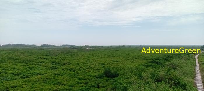 Guide to the Xuan Thuy National Park, Nam Dinh Province, Vietnam