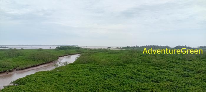 Guide to the Xuan Thuy National Park, Nam Dinh Province, Vietnam