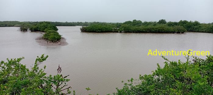 Guide to the Xuan Thuy National Park, Nam Dinh Province, Vietnam