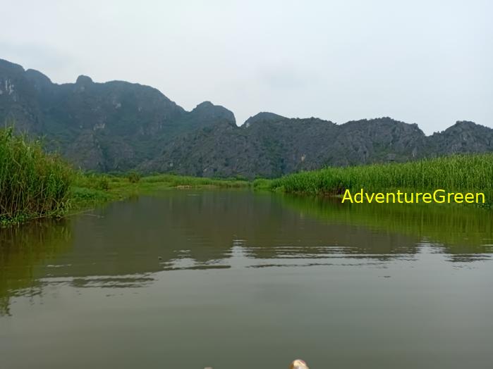 Bird watching at the Van Long Wetland Reserve in Ninh Binh, Vietnam