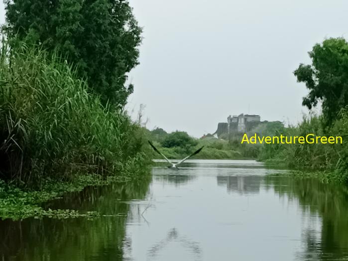 Bird watching at the Van Long Wetland Reserve in Ninh Binh, Vietnam