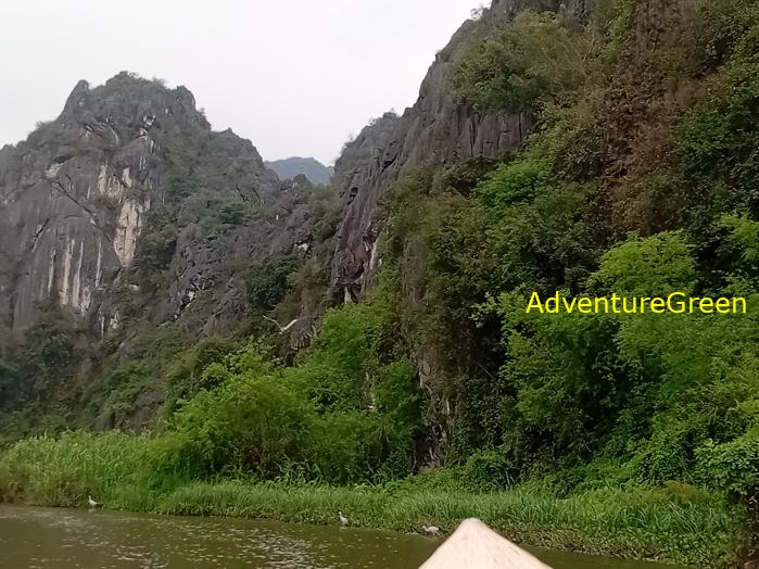 Bird watching at the Van Long Wetland Reserve in Ninh Binh, Vietnam