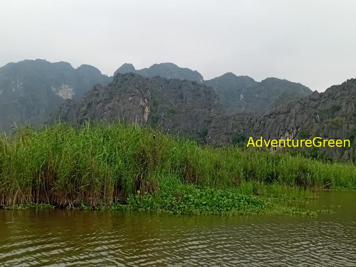 Bird watching at the Van Long Wetland Reserve in Ninh Binh, Vietnam