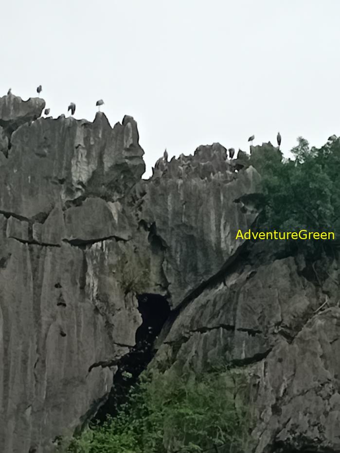 Bird watching at the Van Long Wetland Reserve in Ninh Binh, Vietnam