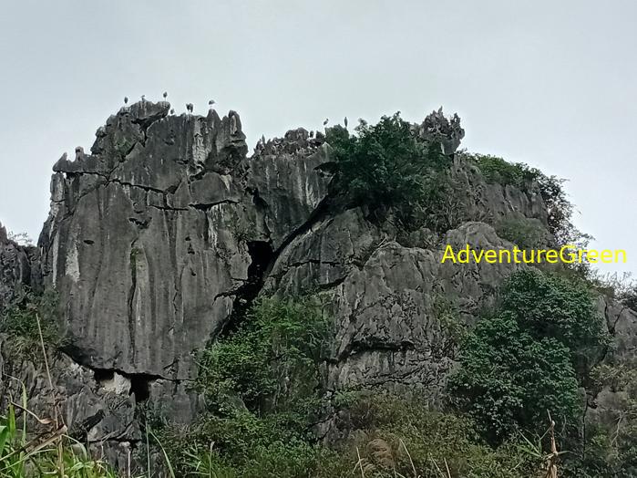 Bird watching at the Van Long Wetland Reserve in Ninh Binh, Vietnam