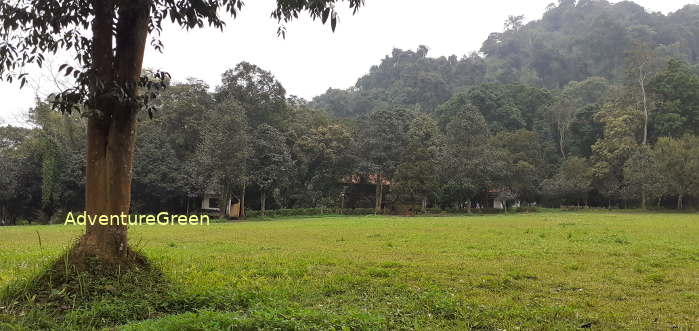 A campsite at the Cuc Phuong National Park