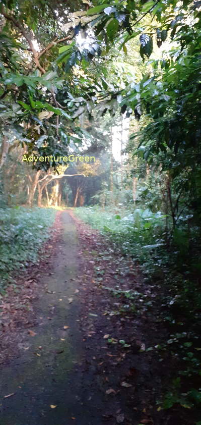 A trail near the headquarter of Cuc Phuong National Park