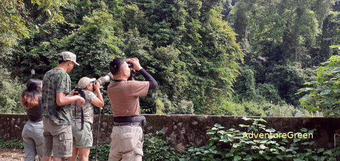 Bird watching at the Cuc Phuong National Park in Ninh Binh Province, Vietnam