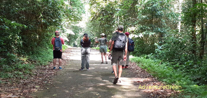 Photography of butterflies at Cuc Phuong National Park