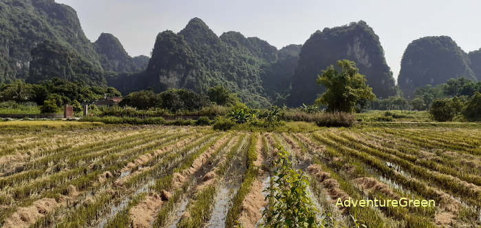 Thung Nham Bird Park in Ninh Binh Province, Vietnam