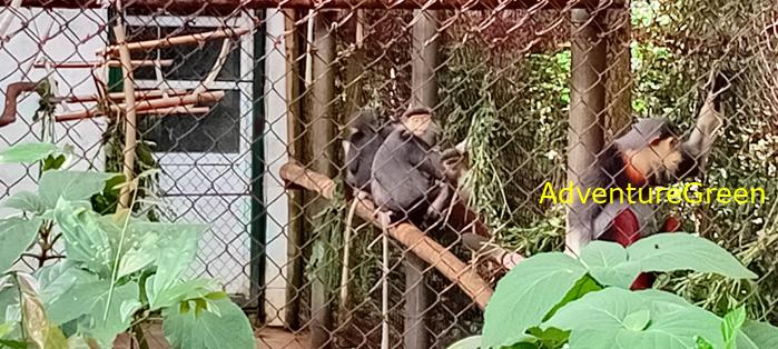 A flora and fauna tour of Cuc Phuong National Park, Ninh Binh, Vietnam