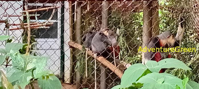 A flora and fauna tour of Cuc Phuong National Park, Ninh Binh, Vietnam