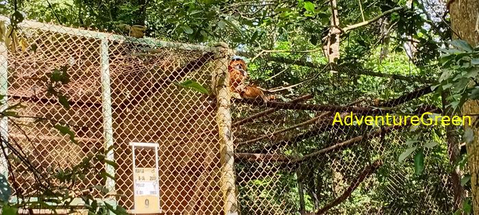 A flora and fauna tour of Cuc Phuong National Park, Ninh Binh, Vietnam