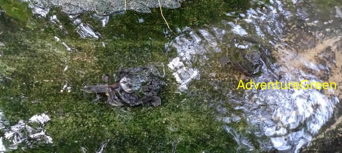 A flora and fauna tour of Cuc Phuong National Park, Ninh Binh, Vietnam