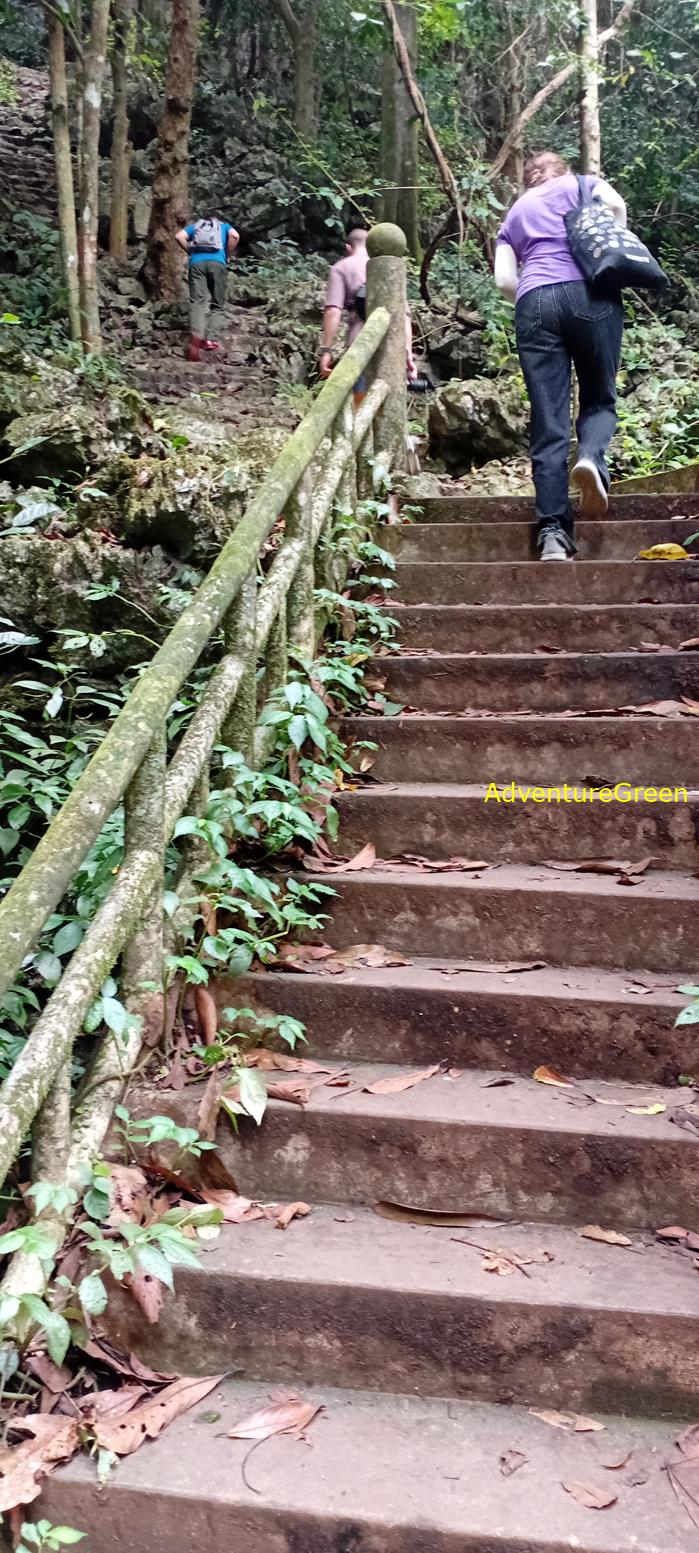 A flora and fauna tour of Cuc Phuong National Park, Ninh Binh, Vietnam