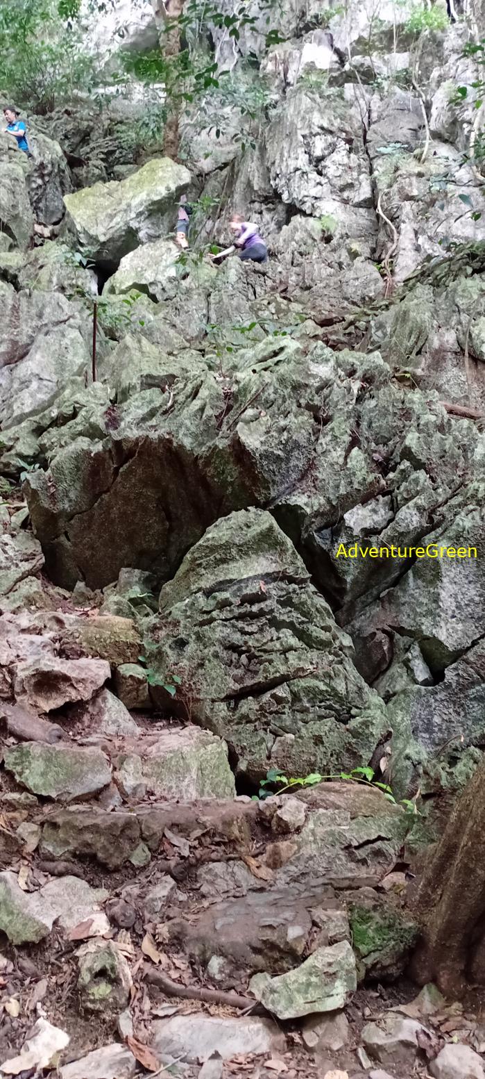 A flora and fauna tour of Cuc Phuong National Park, Ninh Binh, Vietnam
