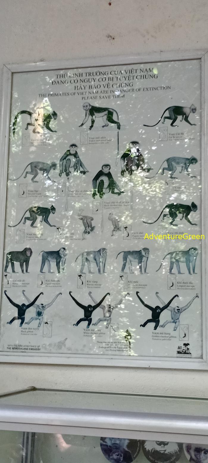 A flora and fauna tour of Cuc Phuong National Park, Ninh Binh, Vietnam