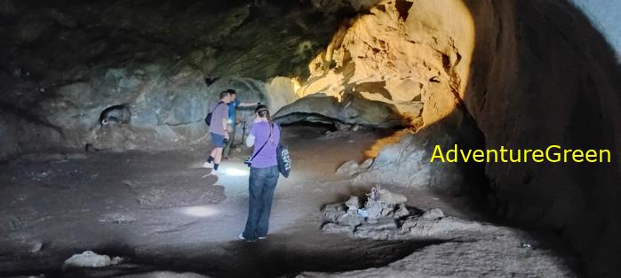 A flora and fauna tour of Cuc Phuong National Park, Ninh Binh, Vietnam