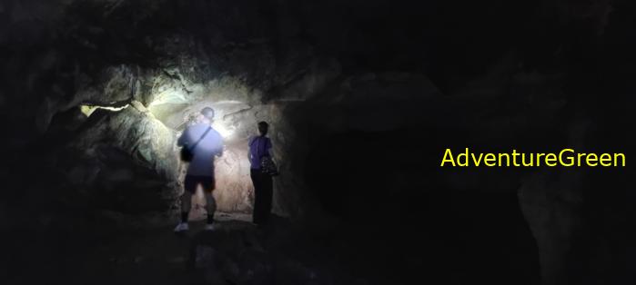 A flora and fauna tour of Cuc Phuong National Park, Ninh Binh, Vietnam