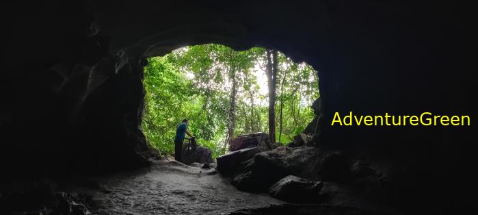 A flora and fauna tour of Cuc Phuong National Park, Ninh Binh, Vietnam
