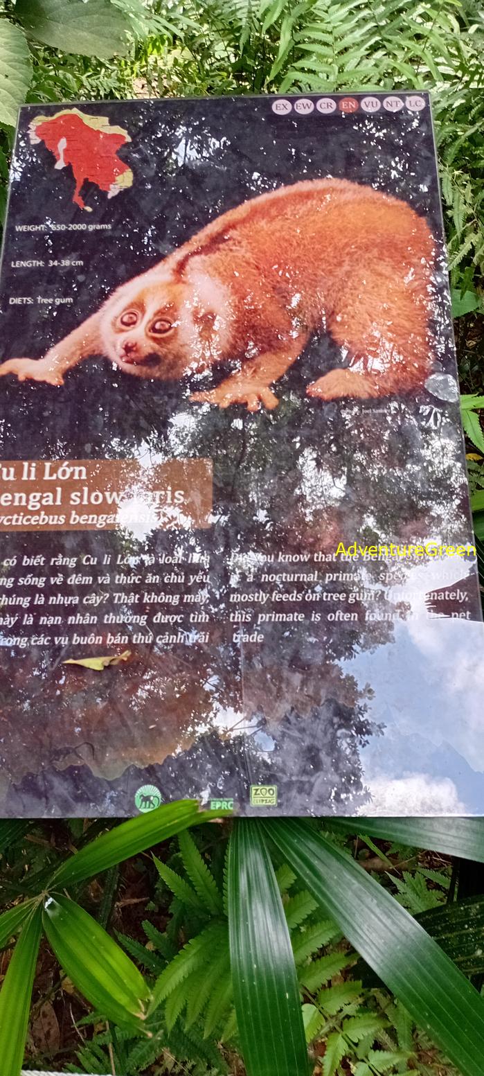 A flora and fauna tour of Cuc Phuong National Park, Ninh Binh, Vietnam