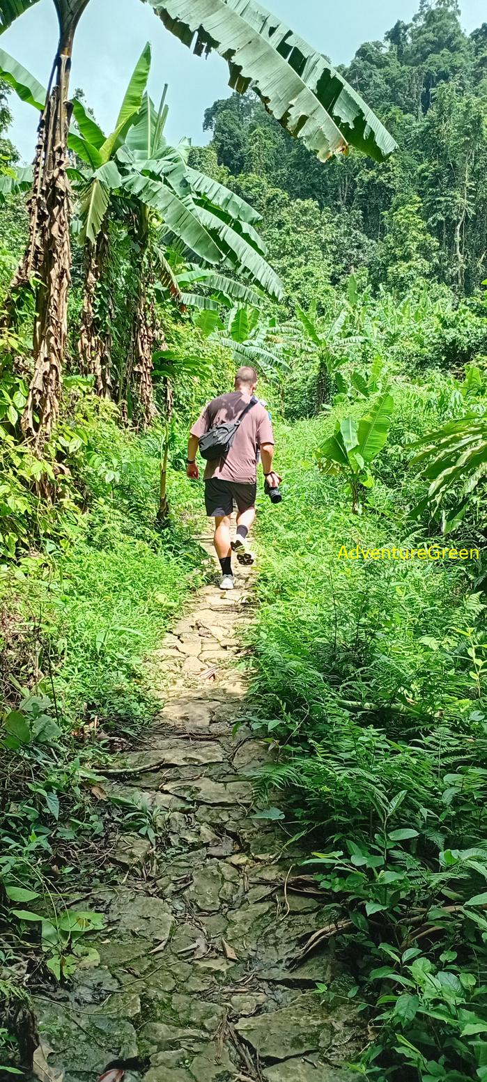 A flora and fauna tour of Cuc Phuong National Park, Ninh Binh, Vietnam