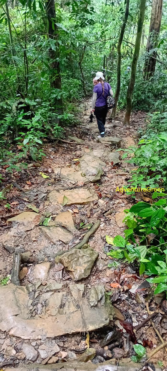 A flora and fauna tour of Cuc Phuong National Park, Ninh Binh, Vietnam