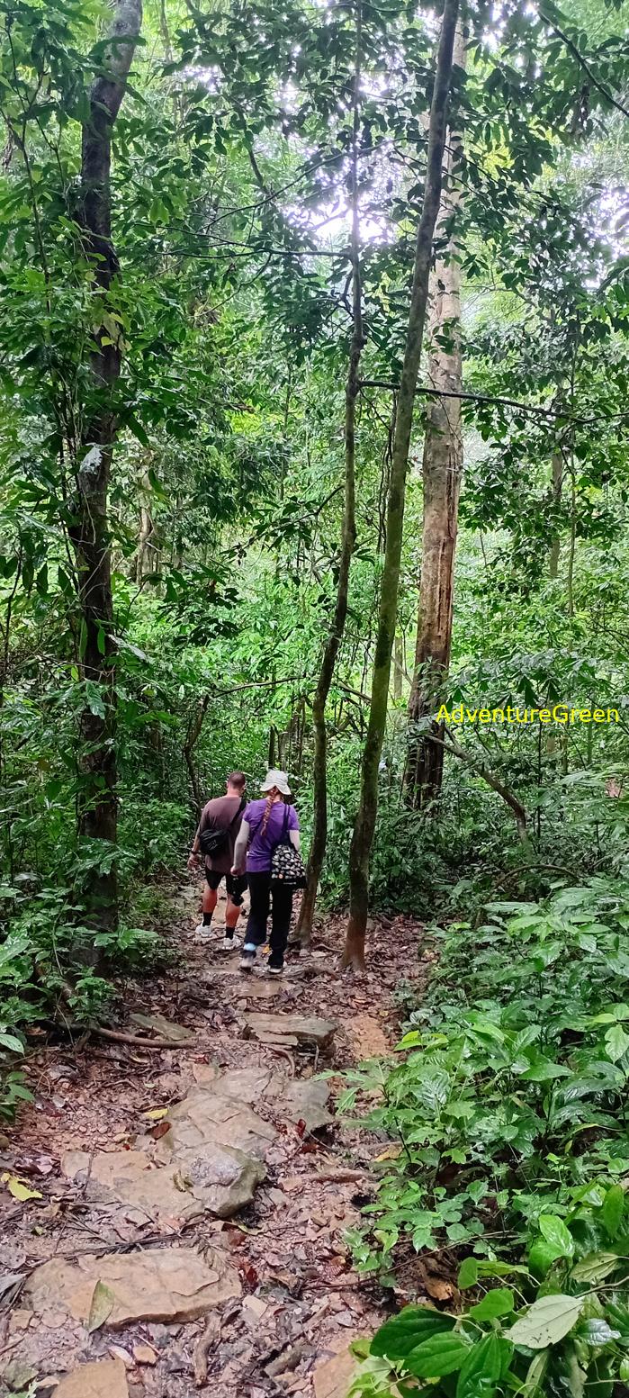 A flora and fauna tour of Cuc Phuong National Park, Ninh Binh, Vietnam