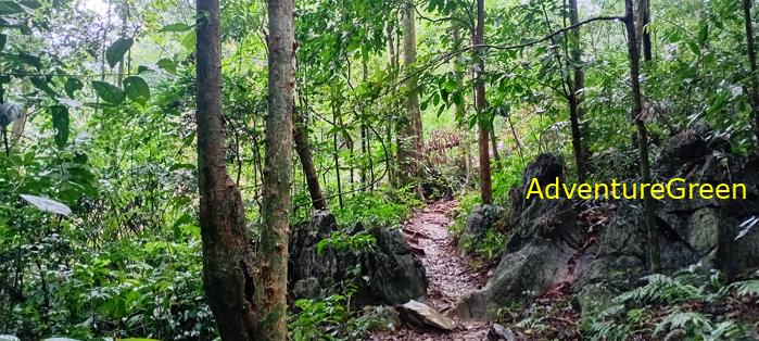 A flora and fauna tour of Cuc Phuong National Park, Ninh Binh, Vietnam