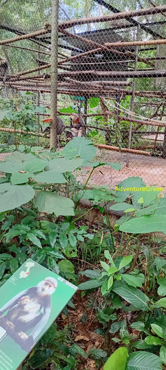 A flora and fauna tour of Cuc Phuong National Park, Ninh Binh, Vietnam