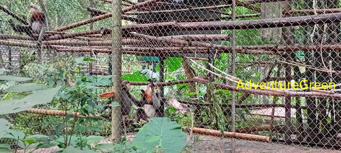 A flora and fauna tour of Cuc Phuong National Park, Ninh Binh, Vietnam