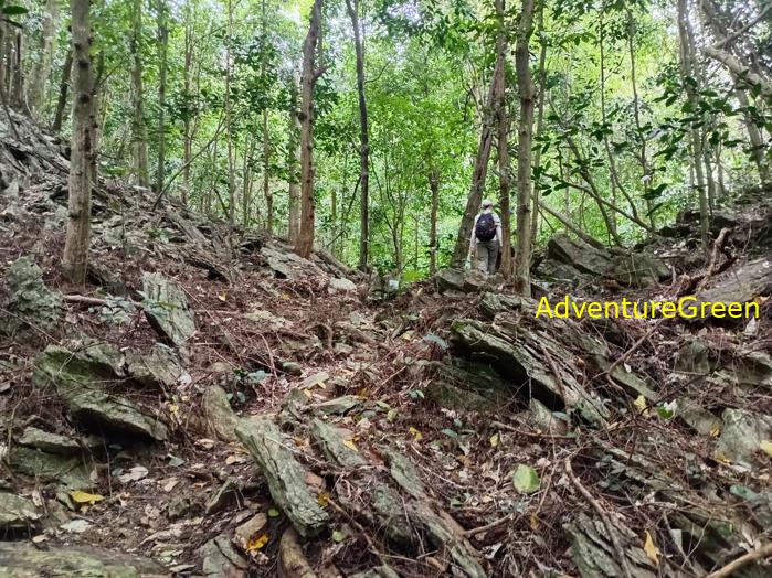 Trekking and hiking in Cuc Phuong National Park Vietnam