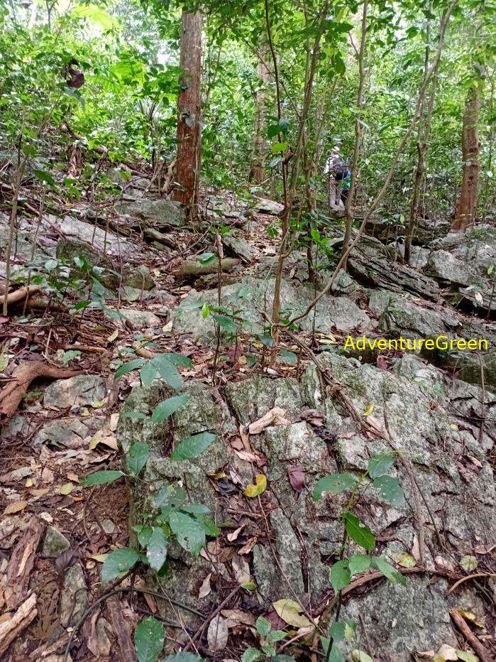 Trekking and hiking in Cuc Phuong National Park Vietnam