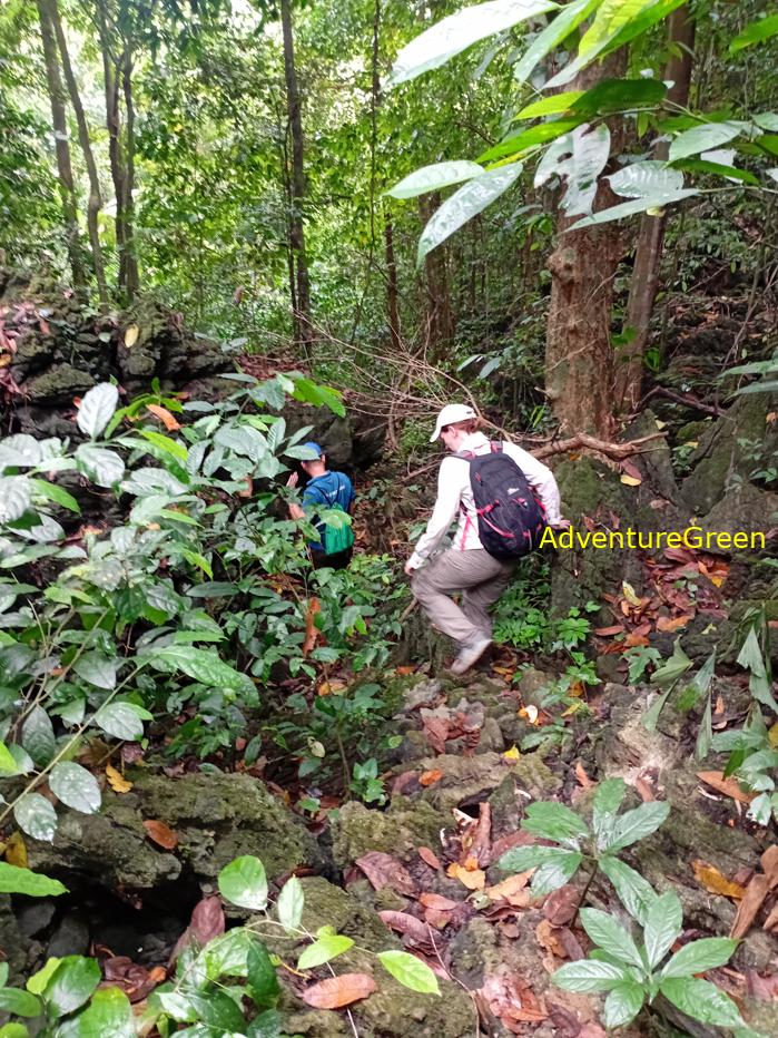 Trekking and hiking in Cuc Phuong National Park Vietnam