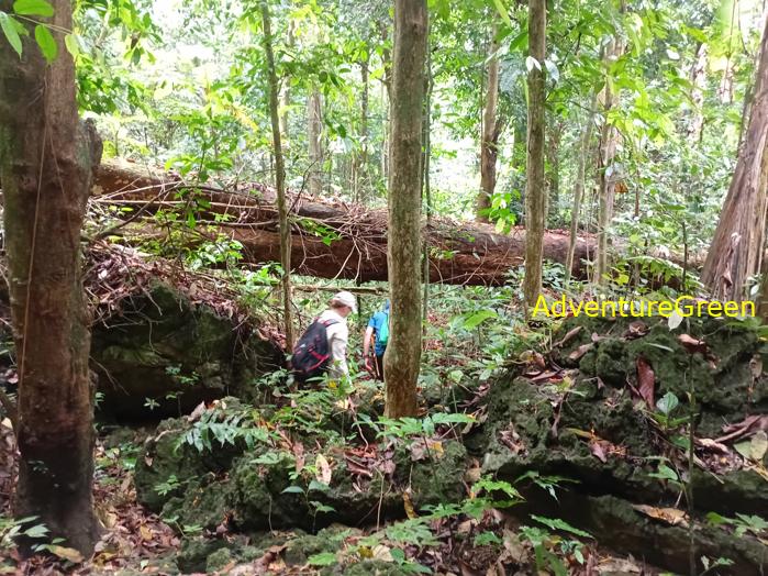 Trekking and hiking in Cuc Phuong National Park Vietnam