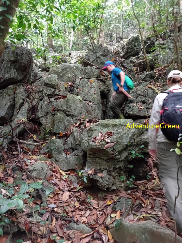 Trekking and hiking in Cuc Phuong National Park Vietnam