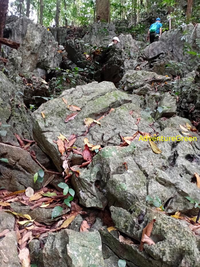 Trekking and hiking in Cuc Phuong National Park Vietnam