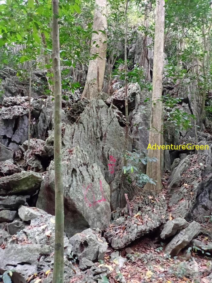 Trekking and hiking in Cuc Phuong National Park Vietnam