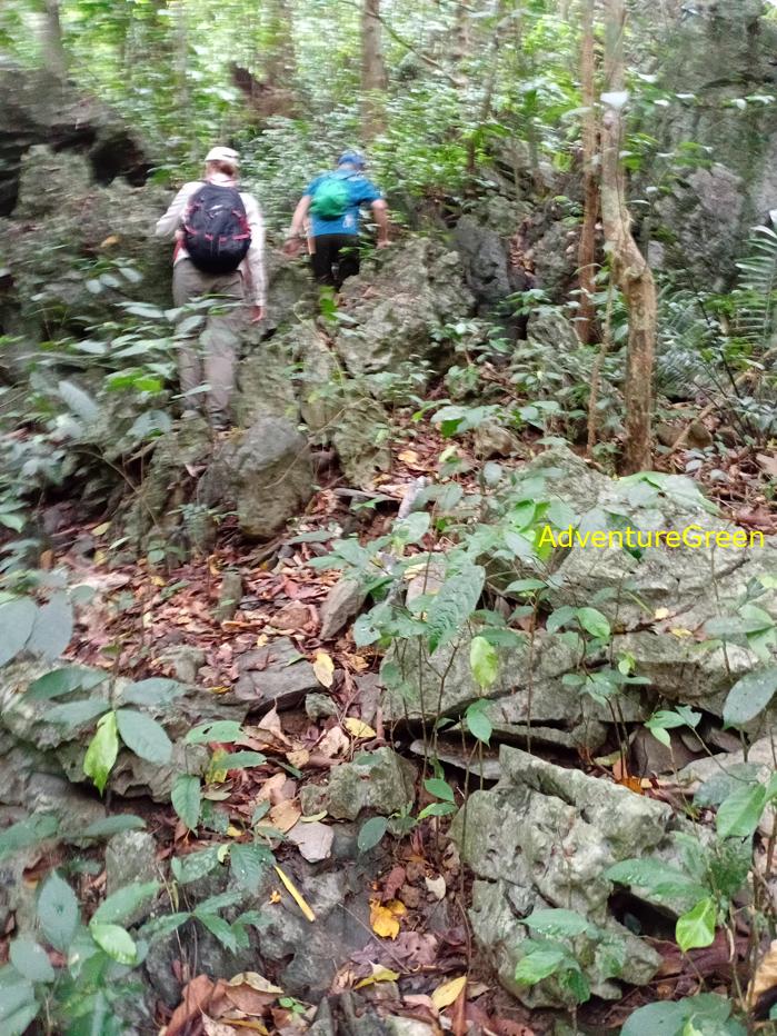 Trekking and hiking in Cuc Phuong National Park Vietnam
