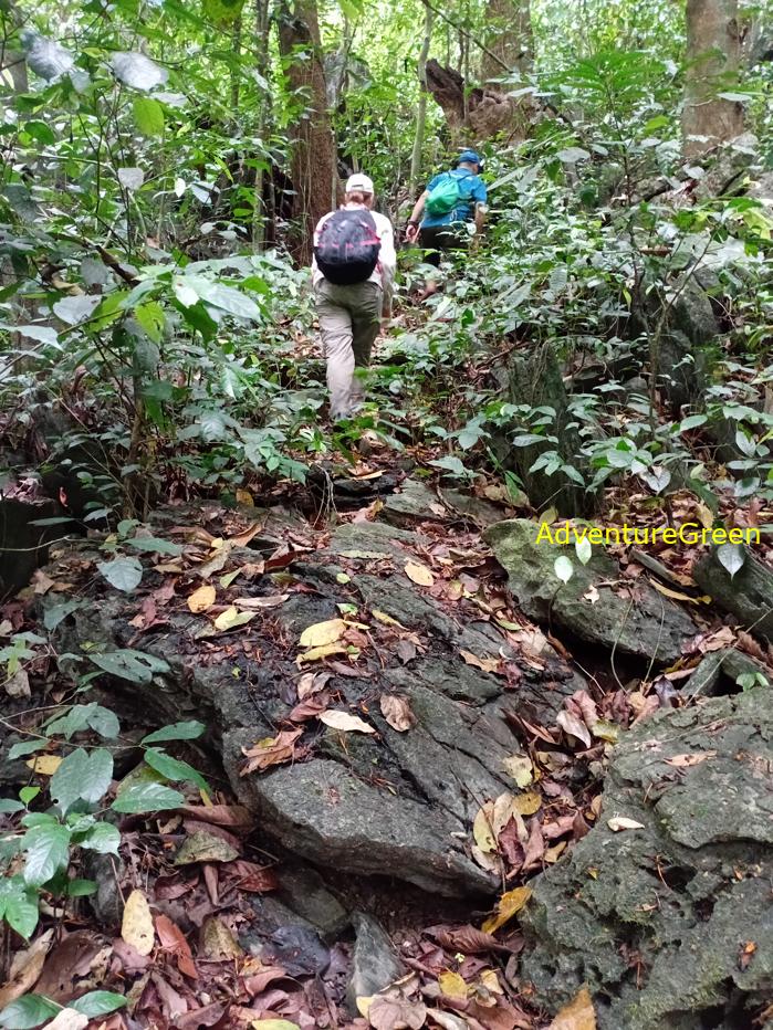 Trekking and hiking in Cuc Phuong National Park Vietnam