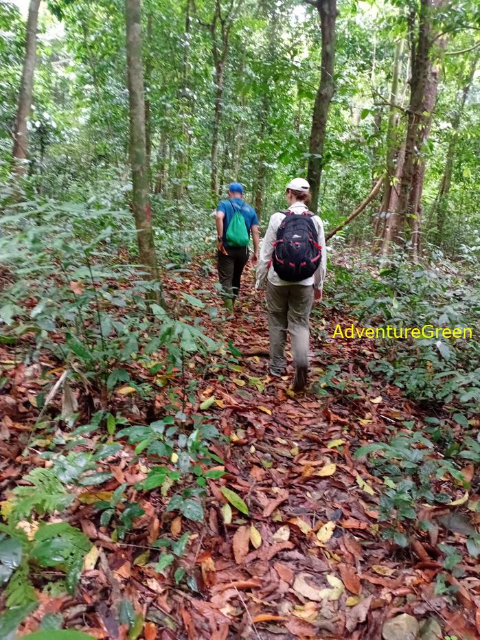 Trekking and hiking in Cuc Phuong National Park Vietnam
