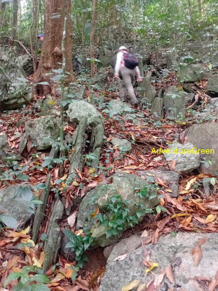 Trekking and hiking in Cuc Phuong National Park Vietnam