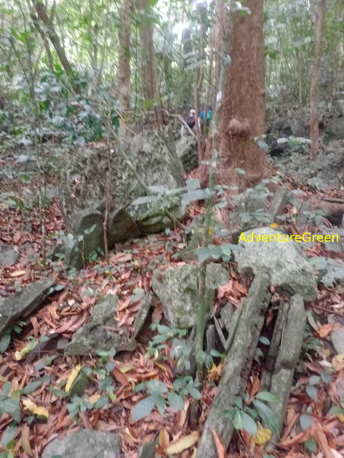Trekking and hiking in Cuc Phuong National Park Vietnam