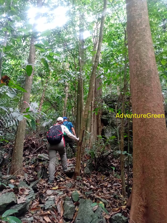 Trekking and hiking in Cuc Phuong National Park Vietnam